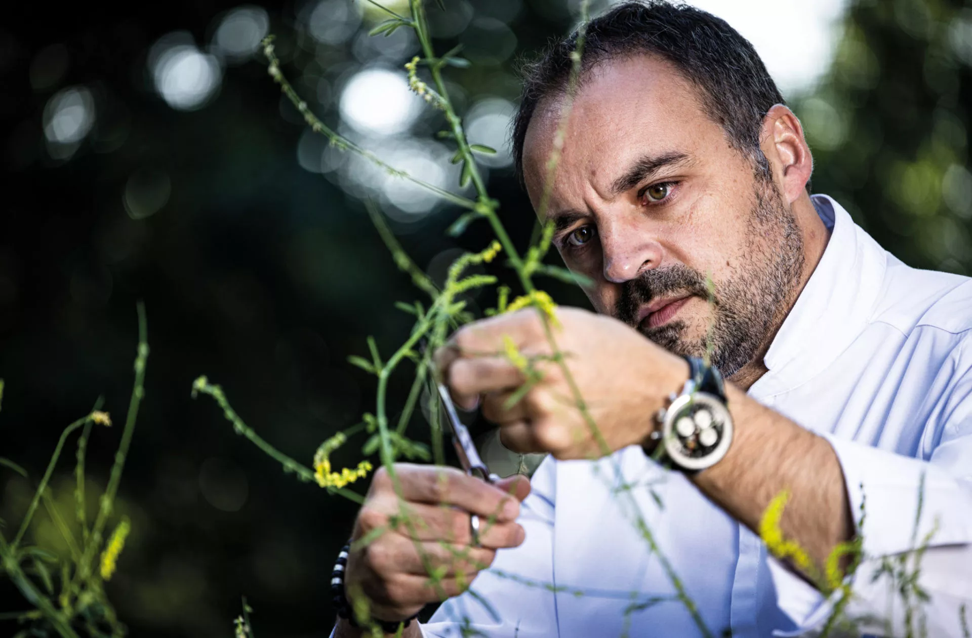 Le chef Cédric Burtin, dans le potager de l'Amaryllis**