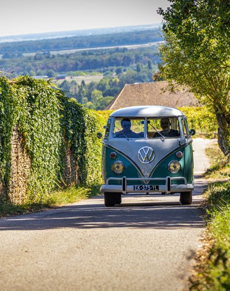 Combi VW dans le vignes