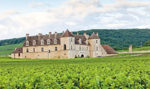 Route des Grands Crus