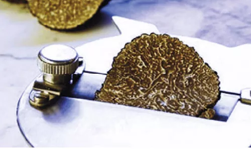 Truffe de Bourgogne