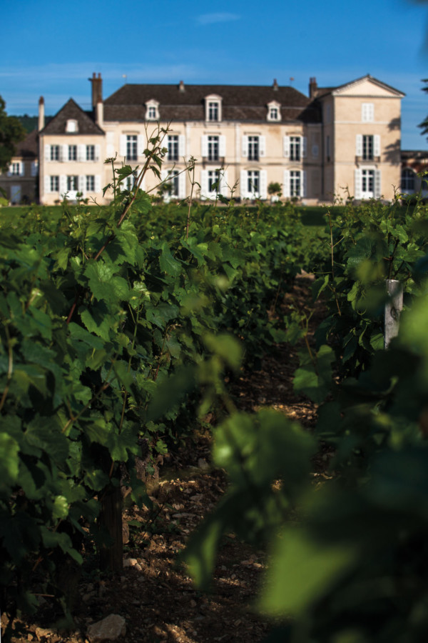 Vignes du Château de Meursault