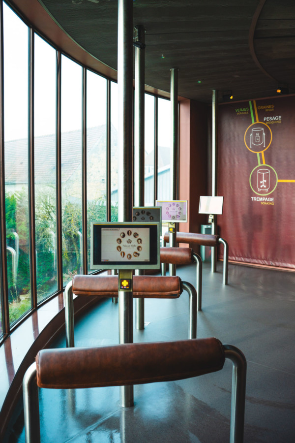Parcours Sensations Fortes du musée Fallot