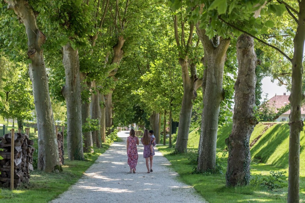 Jardin Château Brachet