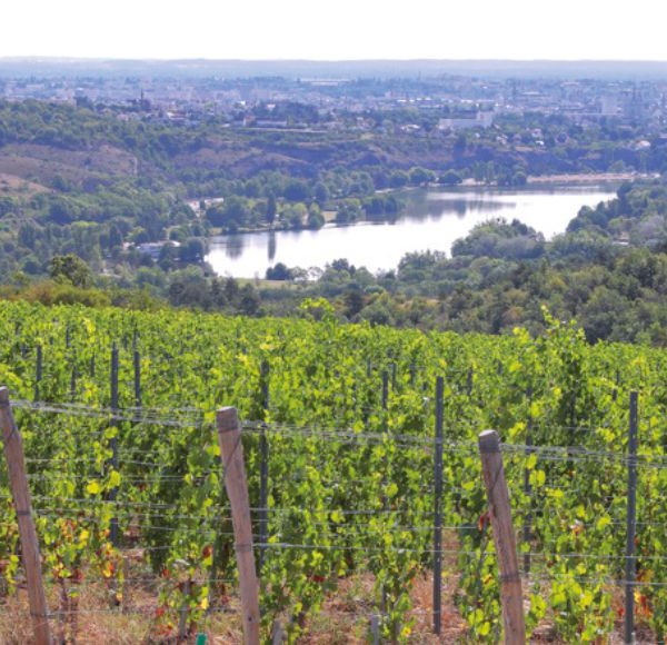 Paysage de Bourgogne