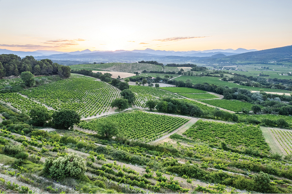 Vins de Rasteau - Cru des Côtes du Rhône