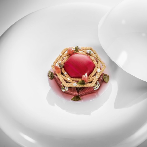 Rhubarbe, vinaigre de riz et fleur de sureau