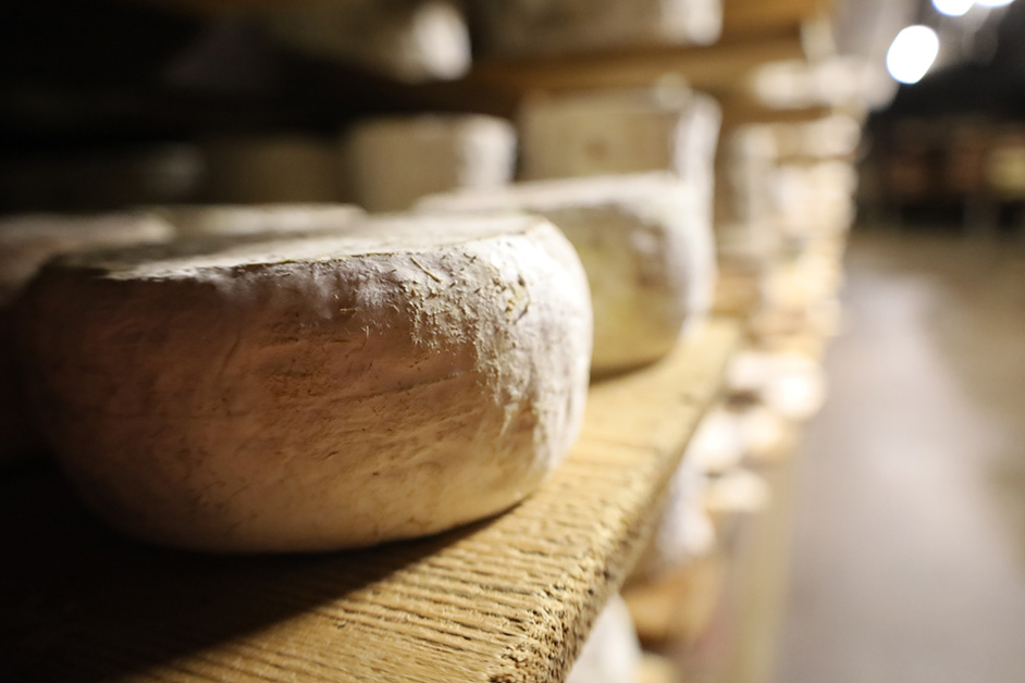 Affinage - Fromagerie Alain Michel