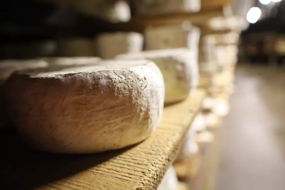 Affinage – Fromagerie Alain Michel