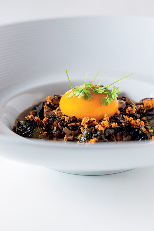 Escargots et champignons, jaune d’œuf fumé et sauce blanquette