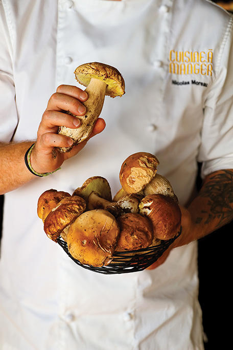 Champignons – Cuisine à Manger