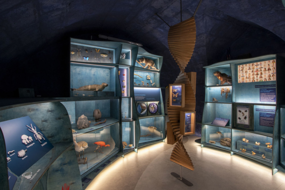 Visite Naturalium