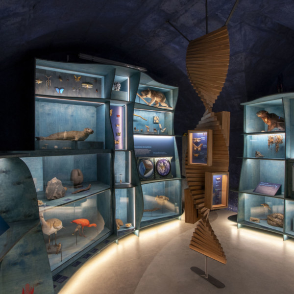 Visite Naturalium