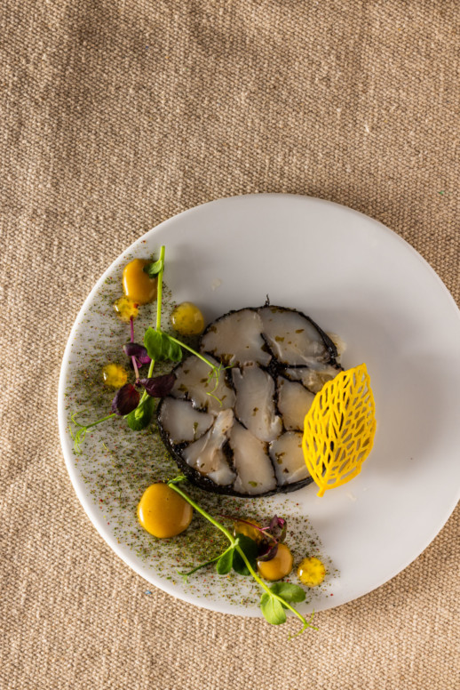 Carpaccio de Saint-Jacques et nori