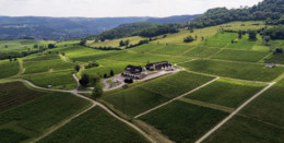 Excursion sensorielle au cœur du Domaine de la Pinte