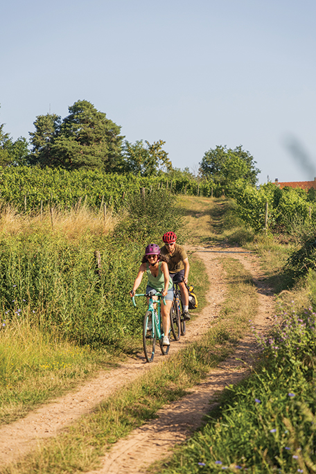 Balade à vélo en campagne