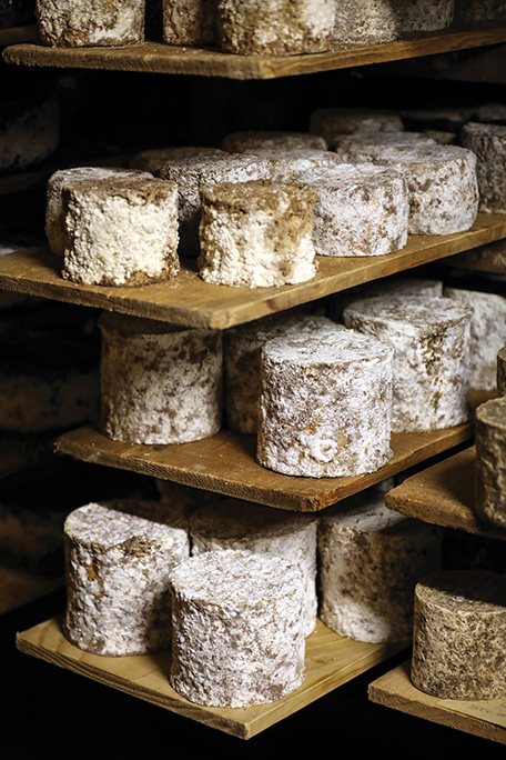 Persillé de Chèvre Cave