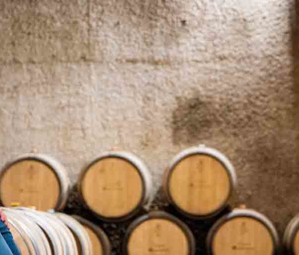 Mathieu Piécourt Domaine de Montmain
