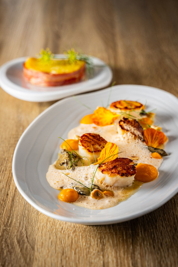 Noix de Saint-Jacques, sauce morilles et son gratin lardé