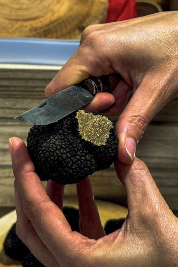 Une belle truffe de Bourgogne