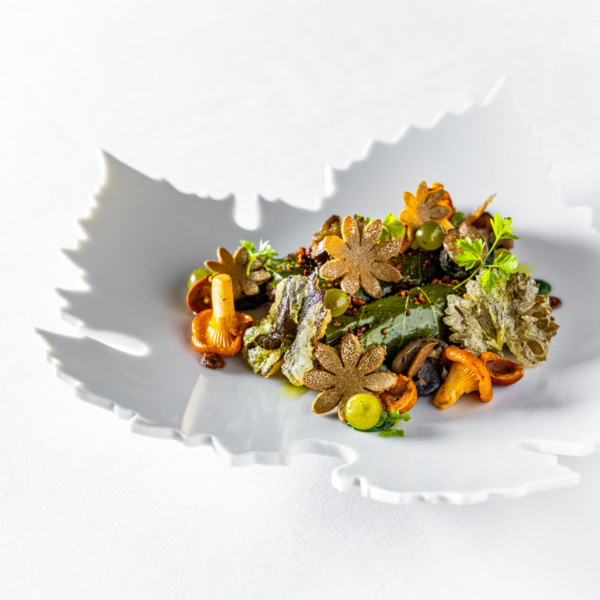 Feuilles de vigne farcies aux escargots & champignons des bois
