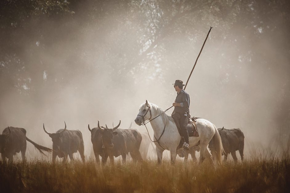 Camargue - Arles Tourisme