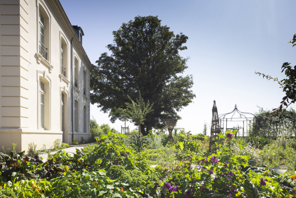 Avant l’ouverture de l’établissement à la fin de l’année 2024, Valentin et Anais travaillent jour et nuit avec des amis pour mettre en terre 4000 plants tout autour de la maison