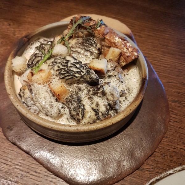 La croute aux morilles