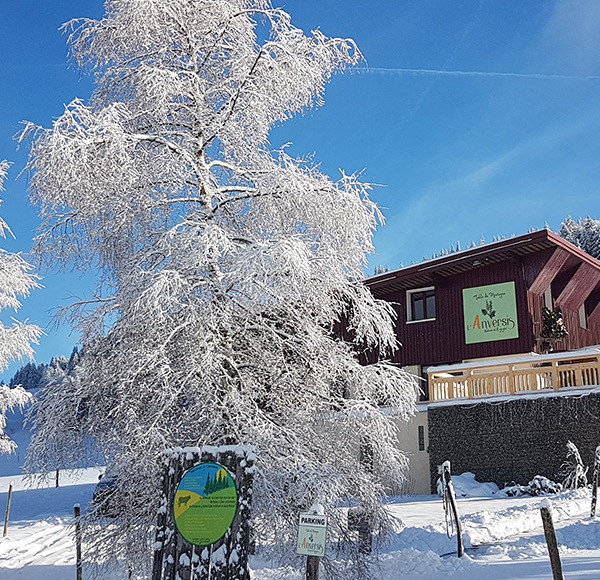 Restaurant L'Anversis