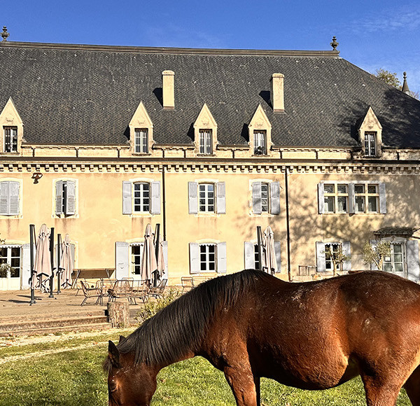 Rose Restaurant - Château de Freycinet