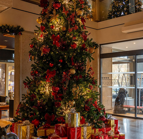 Sapin de Noël Lyon Metropole