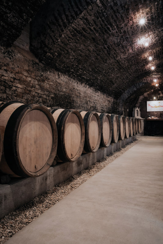 Caveau Domaine Dubreuil-Fontaine
