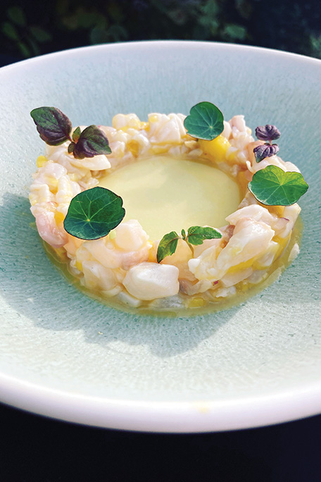 Ceviche de daurade