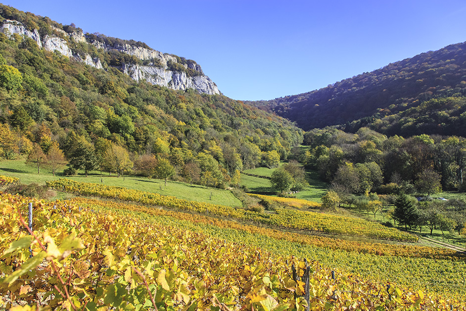Paysage du Jura